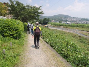芥川清水緑道