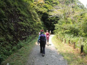 ハイキングコース