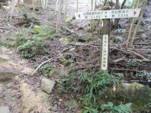 分かれ道