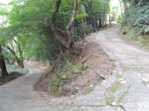 山道