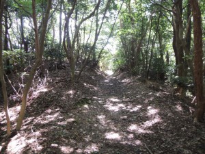 山道(信貴山へ)