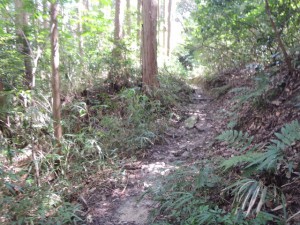 山道
