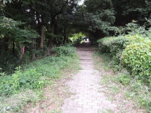 舗装路