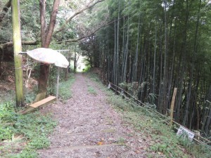 ベンチ