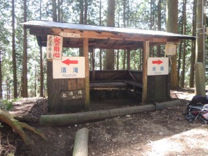 水尾分かれ