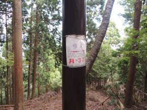 電柱