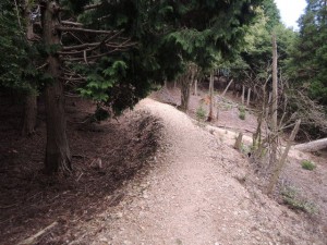 尾根道