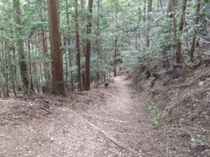 山道