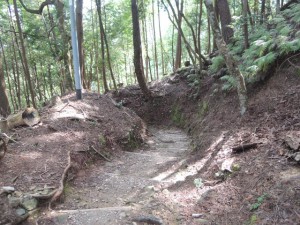 山道