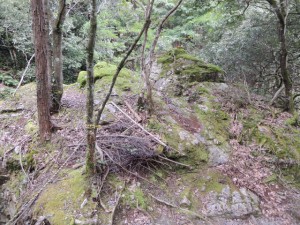 岩場