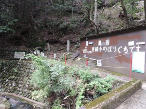 登山口