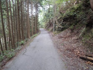 林道