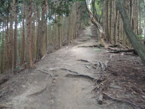 尾根筋