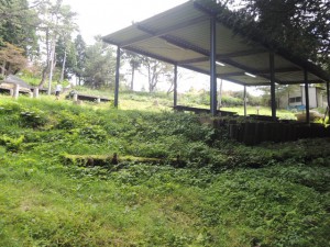 キャンプ場