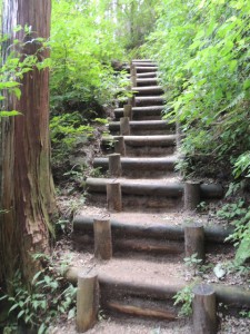 丸木階段