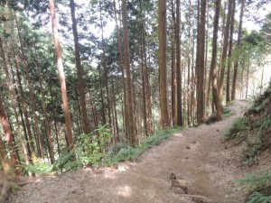 山道