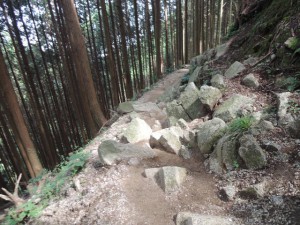 落石跡