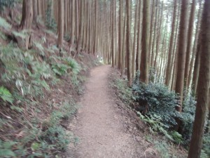 山道