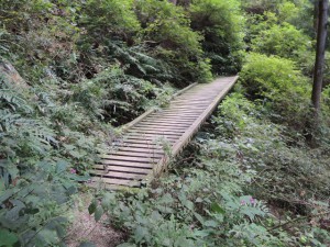橋