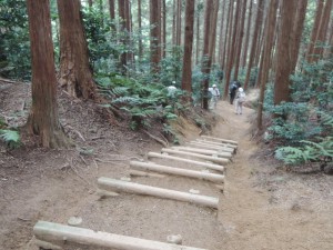 丸木階段