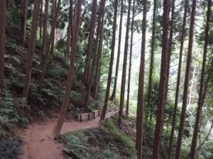 山道