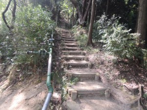 頂上登り口