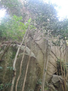 観音岩