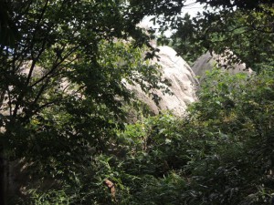 夫婦岩