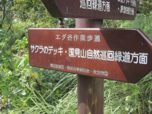 自然巡回緑道