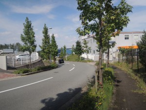 津田サイエンスパーク車道