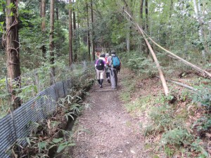 登山道