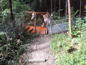 猪除け