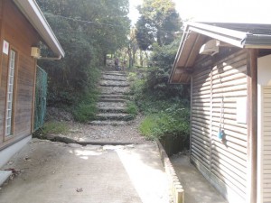 馬の背