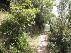 下山道