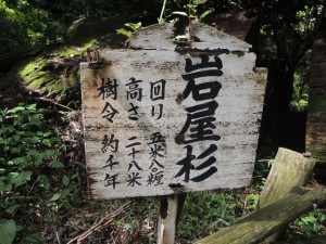 標識