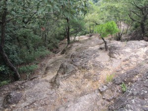 下山道