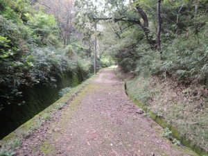 ハイキング道