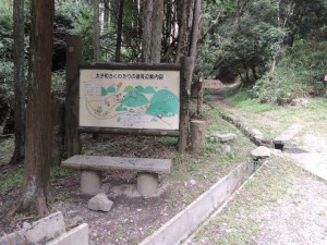 ろくわたりの道分岐