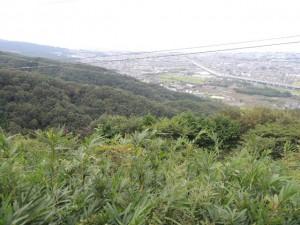 道標