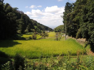 田園風景