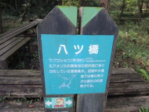 八ツ橋