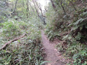 下山道