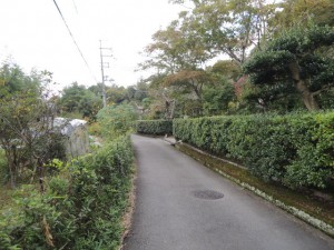 道路