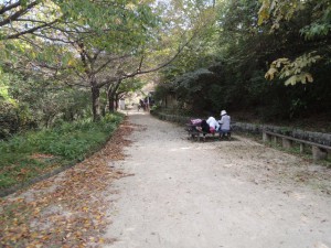 ベンチ