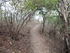 山道