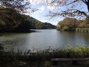 湖畔