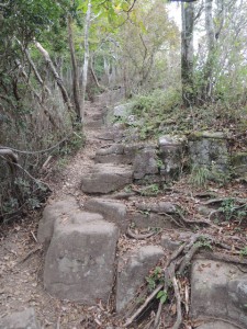 岩場