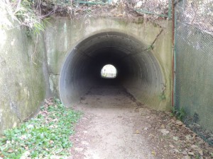 ゴルフ場のトンネル