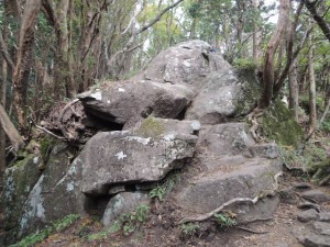 岩場
