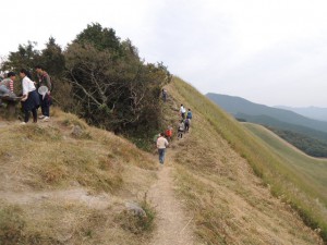 亀山への道